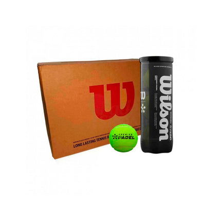 Carton de 24 tubes de balles Wilson Premier Padel